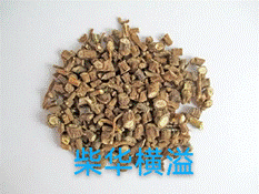 2025-05-18 21:53:29.630000 2025-05-18 21:53:29.630000