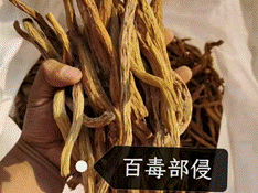 2025-05-18 21:54:24.329000 2025-05-18 21:54:24.329000